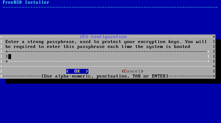 Disk Encryption Password